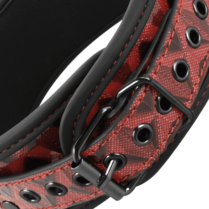 Collier avec pince tétons premium - Begme