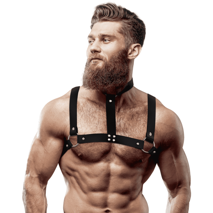 Harnais de poitrine réglable avec collier homme - Fetish submissive