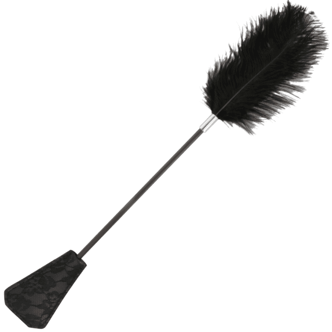 Fouet cravache et plumeau 56 cm - Darkness